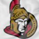 Ottawa Senators, NHL
